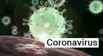 10 câu hỏi chủ yếu về virus Coronavirus năm 2020 theo Google