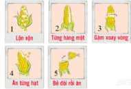 Cách bạn ăn ngô nói lên điều gì về tính cách, #1 cần điều chỉnh nếu không sẽ liên tục thất bại
