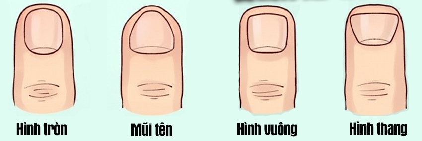 Hình dáng móng tay tiết lộ khá nhiều điều thú vị về bạn, 1 loại cho biết chủ nhân có IQ cao
