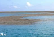 Họ phát hiện ngoài khơi Thái Bình Dương 1 ‘bóng đen lớn’, tò mò tiến lại… chậm chút nữa là sinh mệnh đã không còn