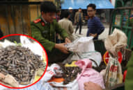 Vụ nổ ở Bắc Ninh: Trung tướng công an hé lộ sức công phá của vật liệu nổ