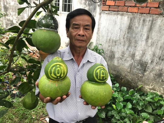 ‘Cháy hàng’ trái cây độc lạ chưng Tết Nguyên đán mặc dù giá tận 1,5 triệu đồng/quả