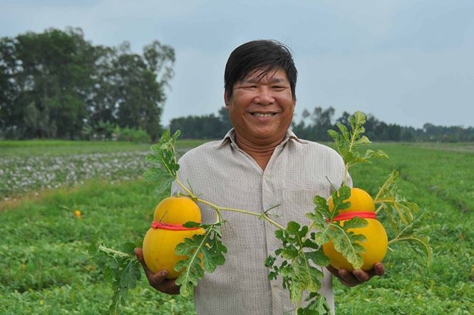 ‘Cháy hàng’ trái cây độc lạ chưng Tết Nguyên đán mặc dù giá tận 1,5 triệu đồng/quả