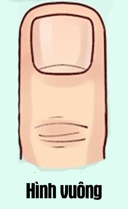 Hình dáng móng tay tiết lộ khá nhiều điều thú vị về bạn, 1 loại cho biết chủ nhân có IQ cao