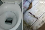 10+ bức ảnh cho thấy ‘vận may’ đến rồi và là có thật, xem khoảnh khắc nào cũng độc nhất vô nhị