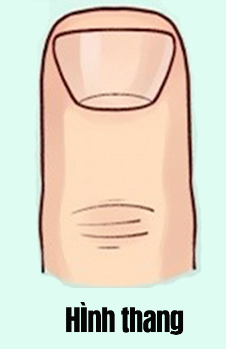 Hình dáng móng tay tiết lộ khá nhiều điều thú vị về bạn, 1 loại cho biết chủ nhân có IQ cao