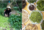 Về quê ra mắt nhà chồng, ăn rau thấy lẫn 2 sợi tóc, cô hất đổ bát cơm của anh, còn mẹ chồng lại cười híp mắt