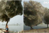 Trận lụt vừa rút, người dân bàng hoàng khi nhiều cây chết ‘tức tưởi’ chỉ vì bị bọc kín mít