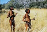 Độc, lạ: Sử dụng chất cực độc của thổ dân để ngừa thai cho phái mạnh