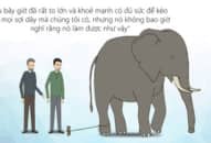 Câu chuyện về con voi và sợi dây thừng
