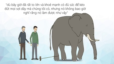Câu chuyện về con voi và sợi dây thừng - Yhocvn.net, Y học Bạch Mai