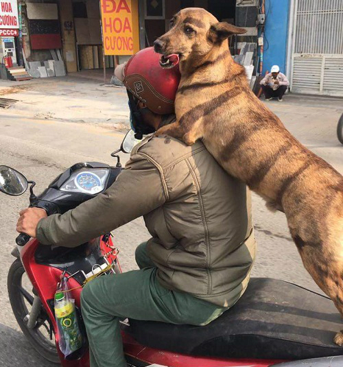 Cười ấm người với 10 ảnh hài hước tuyển chọn trong tuần, số 8 &#8216;siêu phẩm&#8217; của Việt Nam nhưng nhiều người không tin