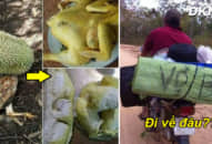 ‘Cười sảng khoái’ với loạt ảnh hài nhất trên MXH, #2 Tết nhất đến nơi rồi… đi về đâu bây giờ?