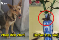 Ông bà nói cấm có sai: 5 dấu hiệu báo hiệu bạn sắp gặp MAY MẮN về tiền bạc, tình duyên