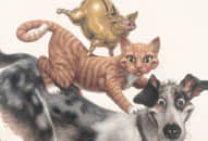 Vợ chồng thuộc ‘TAM HỢP’ gia đình luôn đầm ấm, hạnh phúc nhưng TAM HỢP lại hay đi kèm TAM TAI