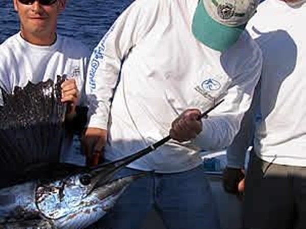 Người đàn ông ly hôn, tháo chiếc nhẫn đeo lên mũi cá kiếm, 3 năm sau… thật khó tin