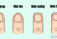 Hình dáng móng tay tiết lộ khá nhiều điều thú vị về bạn, 1 loại cho biết chủ nhân có IQ cao