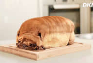 15 màn ngụy trang thành đồ ăn của động vật khiến bạn cảm thấy đói bụng lập tức, #8 giống hệt bào ngư đã tách vỏ