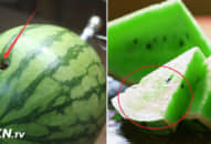 Xe đầu kéo vận chuyển lượng lớn dưa hấu, hải quan kiểm tra phát hiện chi tiết lạ, đáng giá hơn 16 tỷ