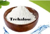 Khó tin ‘Đường tảo’ trợ lực cho vi khuẩn đường ruột gây chết người