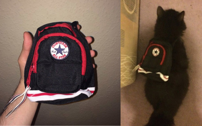 Chàng trai hí hửng bỏ 300 nghìn mua răng giả trên mạng, đến khi ướm vào miệng, dân mạng thốt lên ‘cười rụng răng là có thật!’