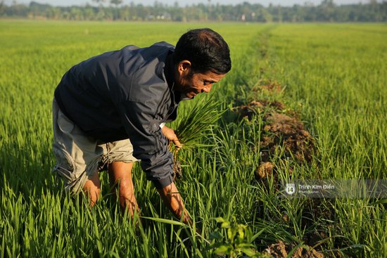 Cùng ở Đắk Lắk, H&#8217;Hen Niê vẫn sống ở nhà sàn, trồng trọt với chăn nuôi, nhìn sang nhà Nhã Phương mà ngỡ ngàng