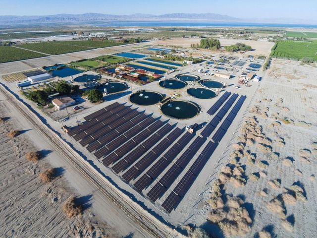 Nuôi cá giữa sa mạc, cách làm của người Do Thái khiến cả thế giới phải nể phục