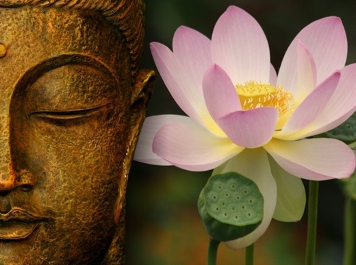 Phật dạy làm người nghìn năm vẫn đúng