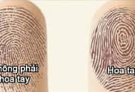 Số hoa tay KẾT LUẬN CHÍNH XÁC về con người bạn, đưa tay lên và cùng đêm thôi nào!