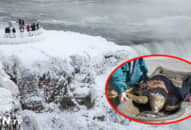 Rét kỷ lục ở Mỹ, Trung Quốc, khoa học cho rằng tiểu kỷ băng hà đang quay lại?