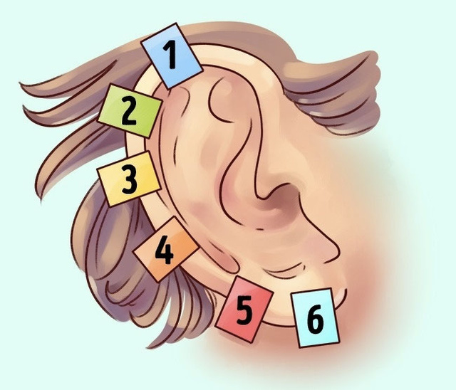 Hình dáng đôi tai tiết lộ điều gì về cơ thể bạn? Nhìn ngay #2 để biết bạn mang &#8216;gen lặn hay gen trội&#8217;