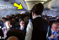 Cô trông giống các nữ tiếp viên hàng không khác, nhưng khi ngoảnh lại sẽ khiến bạn ‘sai nhịp đập trái tim’