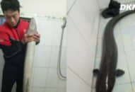 Nghệ An: Vừa sáng mùng 1 đã bắt được cụ thủy quái dài bằng người lớn, giá cao ngất ngưởng