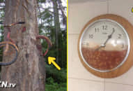 17 khoảnh khắc khó hiểu trong cuộc sống khiến bạn thấy ‘mụ mị’, #8 chiếc ‘bảng đen’ đắt nhất hành tinh