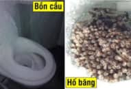 19 bức ảnh ‘kỳ quan mùa đông’ siêu hiếm, chỉ nhìn thôi cũng đã cảm nhận được cái lạnh đến nao lòng