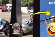 Dở khóc dở cười với 15 khoảnh khắc cứ tưởng MỸ MÃN rồi thì lại HỎNG BÉT