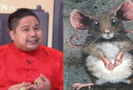 Chuyên gia phong thuỷ: Con giáp ‘mặc áo màu gì’ năm 2018 để cả năm may mắn, tài lộc?