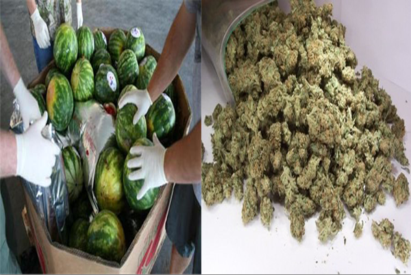 Xe đầu kéo vận chuyển lượng lớn dưa hấu, hải quan kiểm tra phát hiện chi tiết lạ, đáng giá hơn 16 tỷ