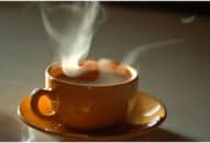 Uống trà nóng làm tăng nguy cơ ung thư?