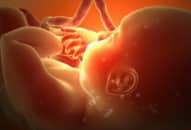Kỳ diệu: Quá trình hình thành hệ hô hấp của thai nhi
