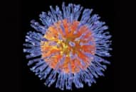 Những đối tượng không được dùng thuốc kháng virut acyclovir?