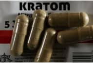 Xuất hiện chất gây nghiện kratom ‘hút hồn’ giới trẻ