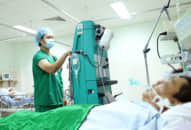 Người đàn ông bị đàn ong truy đuổi đốt hàng trăm mũi