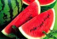 Những vị thuốc mang tên quả