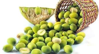 Dùng hạt sen sai cách làm giảm ham muốn tình dục, rối loạn nhịp tim….