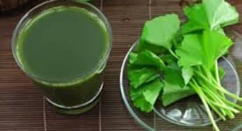 Bạn có biết những vị thuốc quý từ rau má