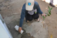 Việt Nam xếp thứ 3 thế giới về bệnh sốt xuất huyết