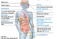 Một giờ hít khói thuốc lá độc hại bằng hút 10 điếu