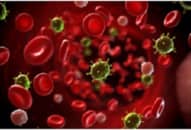Năm nghìn người Úc có nguy cơ ung thư máu từ virus thời cổ đại