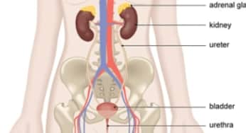 Tăng huyết áp do u tủy thượng thận: triệu chứng phân biệt